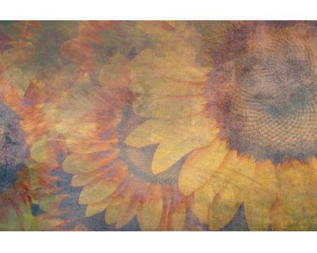 Vlies Fototapete - Sonnenblumen Abstrakt 375 x 250 cm 