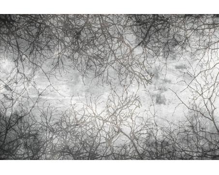 Vlies Fototapete - Ast Abstrakt 375 x 250 cm 
