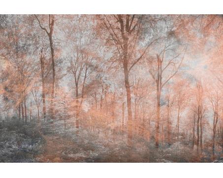 Vlies Fototapete - Bunter Wald Abstrakt 375 x 250 cm 