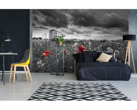 Vlies Fototapete - schwarze Mohnbluhme 375 x 250 cm 