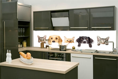 Küchenrückwand Folie - Katzen und hunde 260 x 60 cm