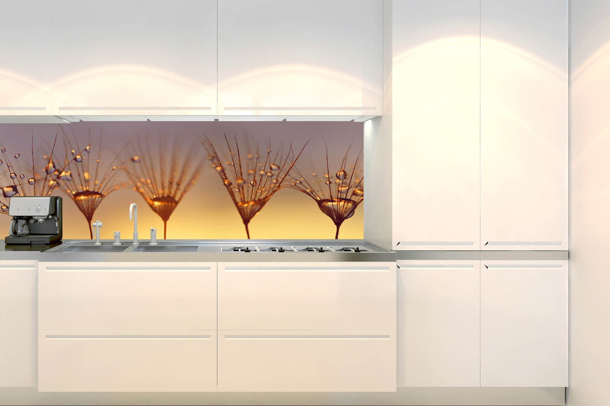 Küchenrückwand Folie - Tropfen auf Löwenzahn 180 x 60 cm