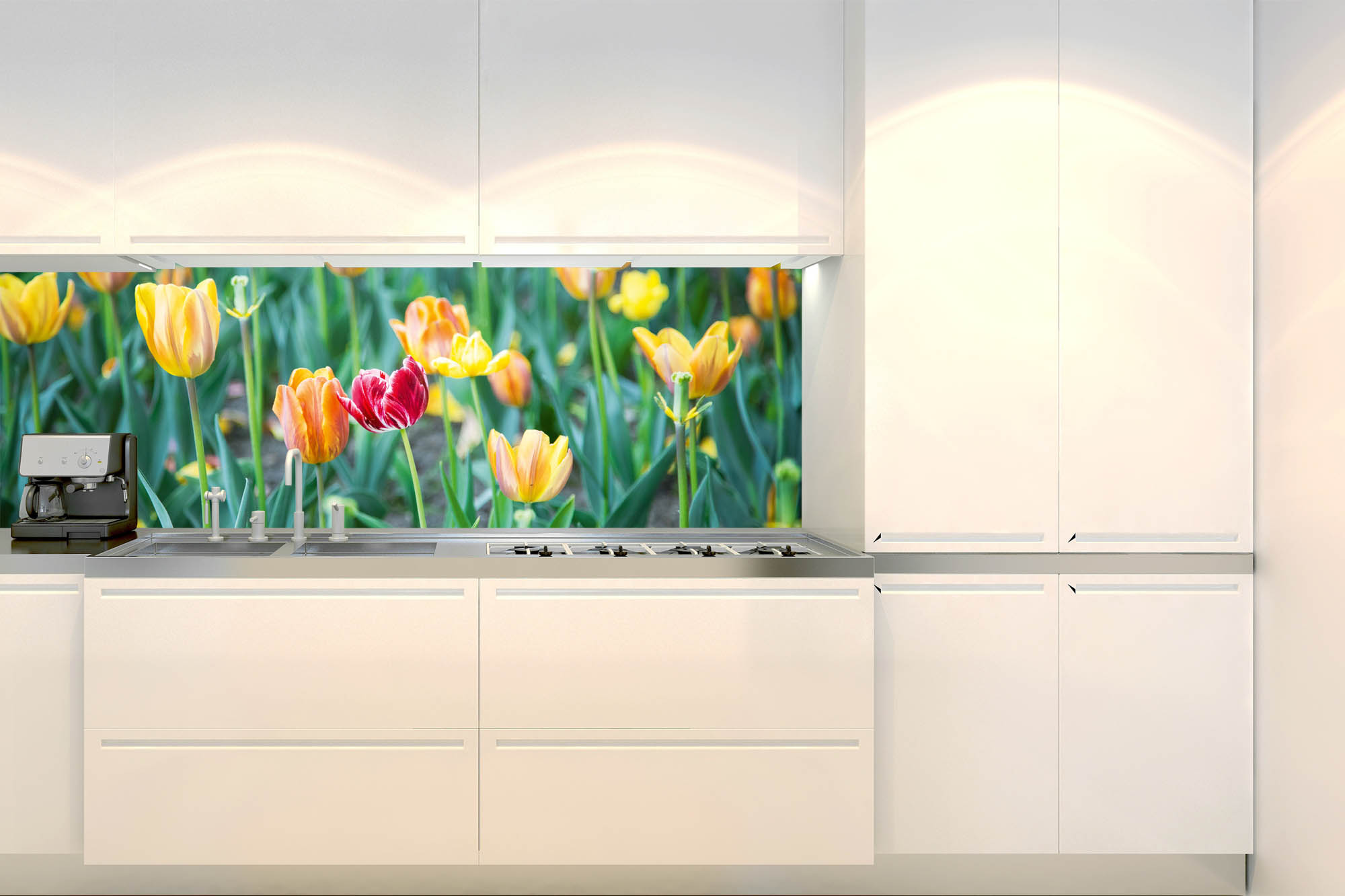 Küchenrückwand Folie - Frühlingslöwenzahn 180 x 60 cm
