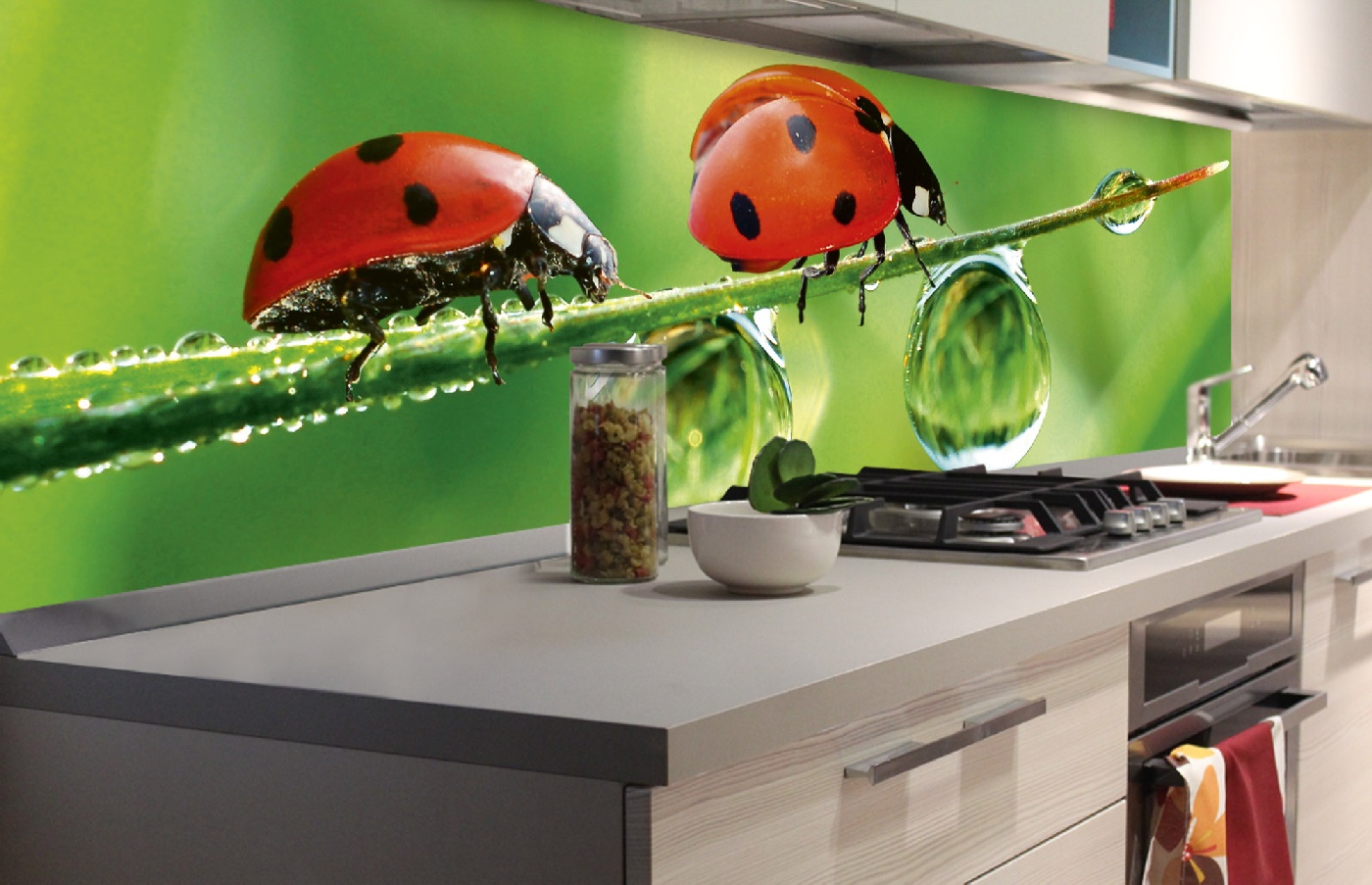 Küchenrückwand Folie - Marienkäfer 180 x 60 cm