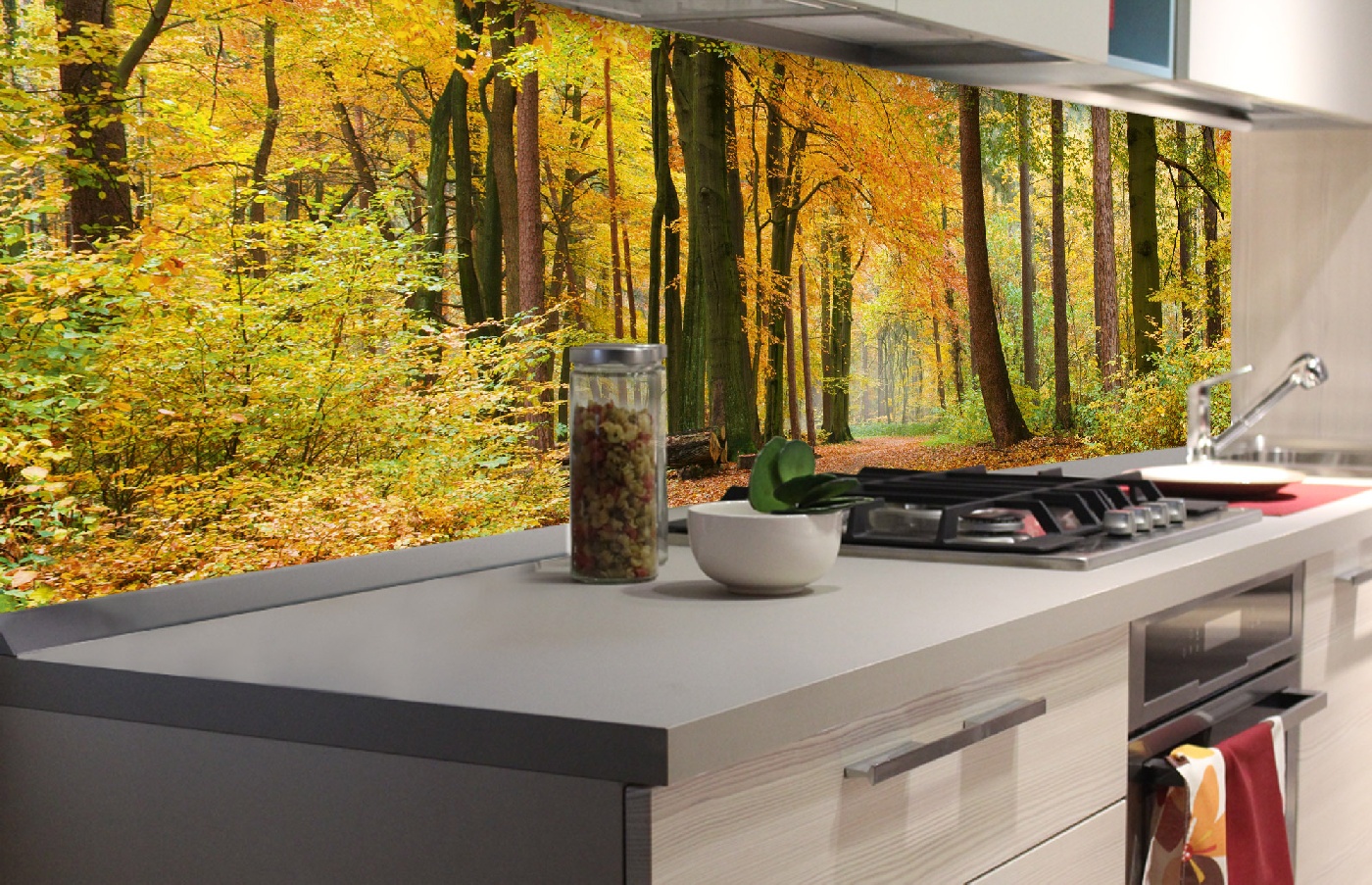 Küchenrückwand Folie - Herbstwald 180 x 60 cm