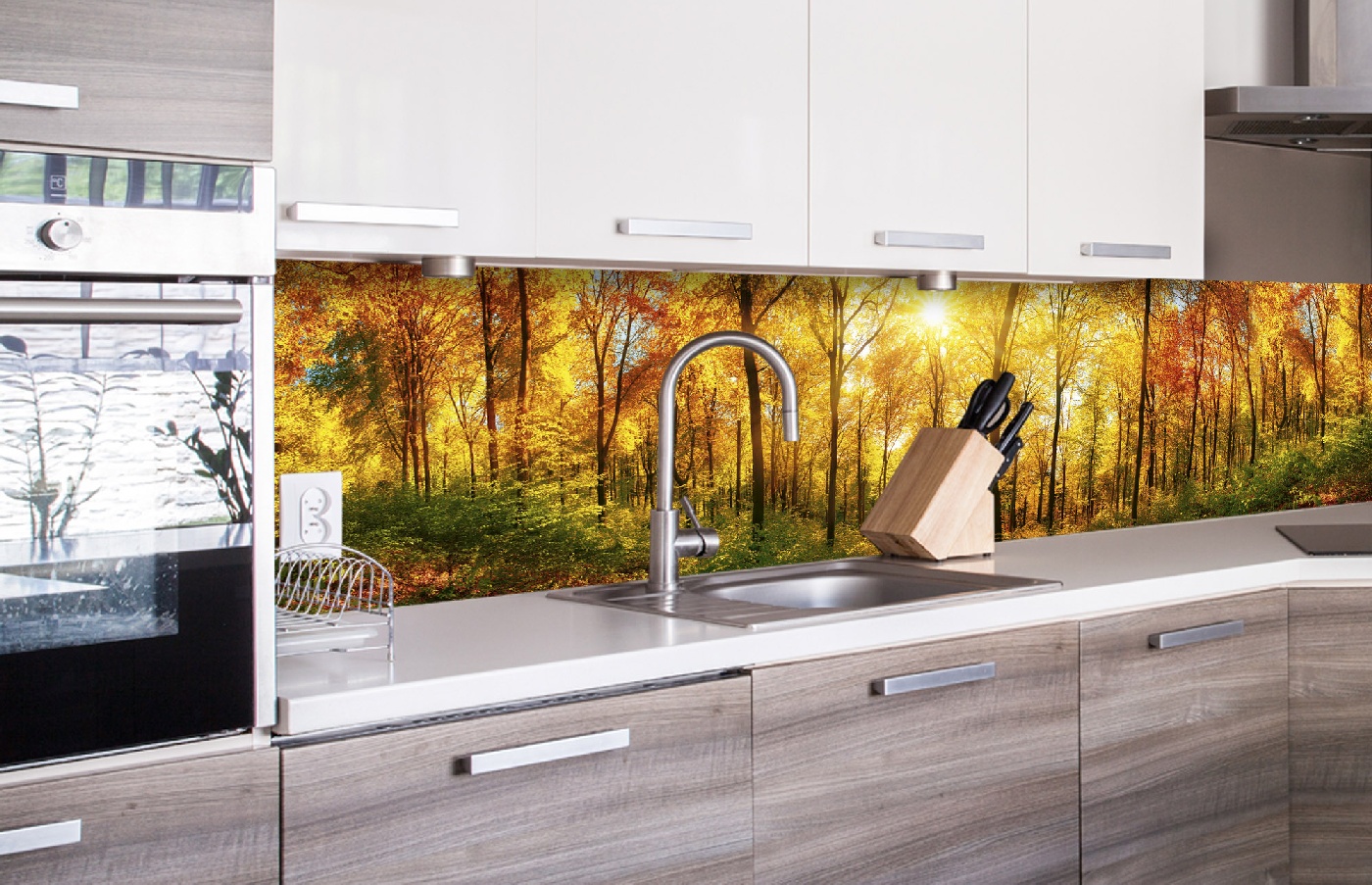 Küchenrückwand Folie - sonniger Wald 260 x 60 cm