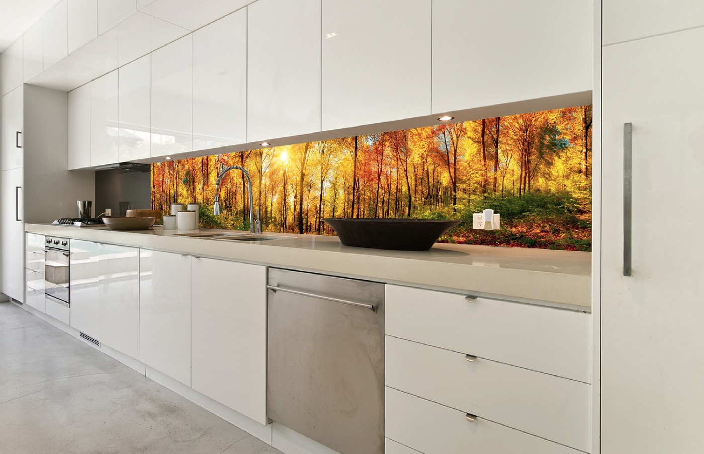 Küchenrückwand Folie - sonniger Wald 350 x 60 cm