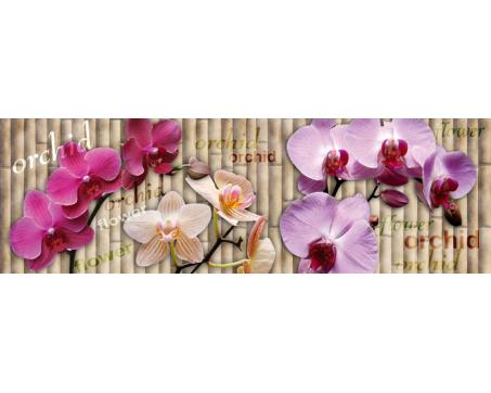 Küchenrückwand Glas - Orchideen