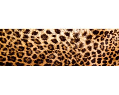 Küchenrückwand Glas - Leopardenfell