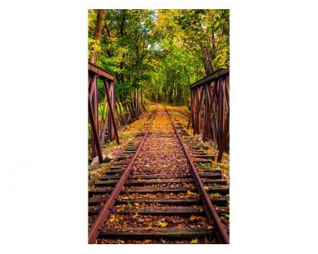 Vlies Fototapete - Eisenbahn im Wald 150 x 250 cm 