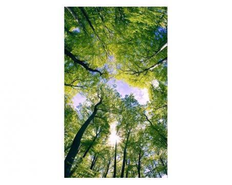 Vlies Fototapete - Bäume in den Wolken 150 x 250 cm 