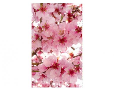 Vlies Fototapete - Apfelblüte 150 x 250 cm 
