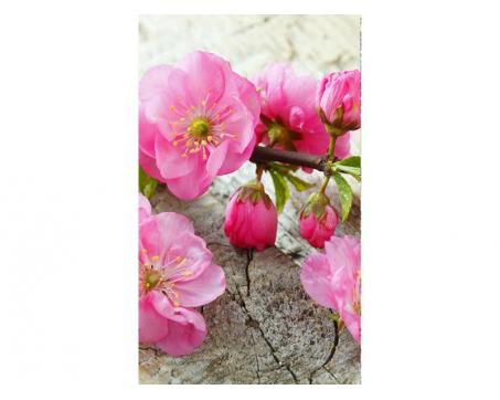 Vlies Fototapete - Sakura 150 x 250 cm 
