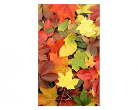 Vlies Fototapete - buntfarbige Blätter 150 x 250 cm 