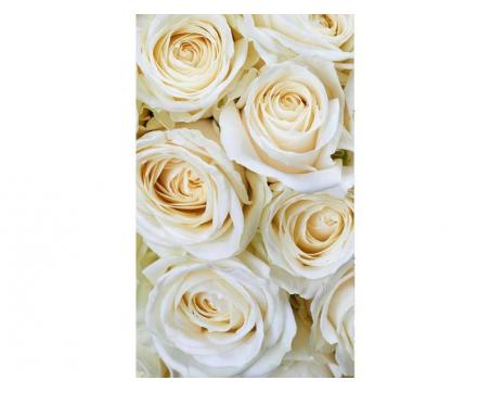 Vlies Fototapete - weiße Rosen 150 x 250 cm 