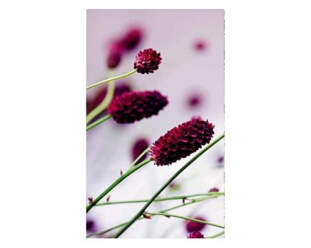 Vlies Fototapete - lila Blume 150 x 250 cm 