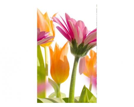 Vlies Fototapete - Frühlingsblumen 150 x 250 cm 