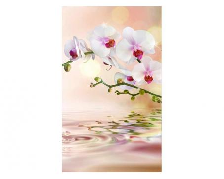 Vlies Fototapete - weiße Orchidee 150 x 250 cm 