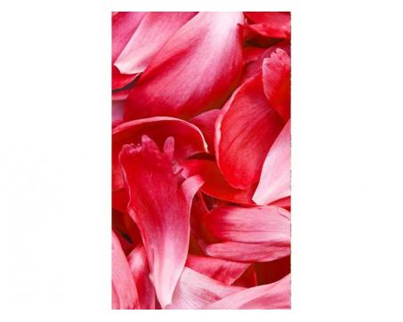 Vlies Fototapete - rote Blütenblätter 150 x 250 cm 