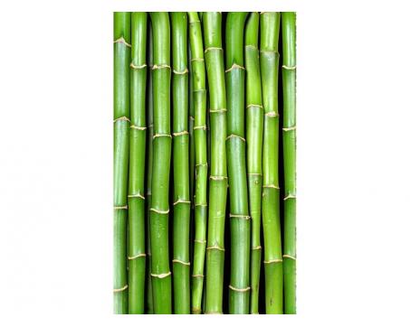 Vlies Fototapete - Bambus 150 x 250 cm 