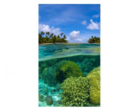 Vlies Fototapete - Korallenriff 150 x 250 cm 