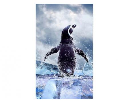 Vlies Fototapete - Pinguin 150 x 250 cm 