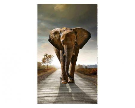 Vlies Fototapete - gehender Elefant 150 x 250 cm 
