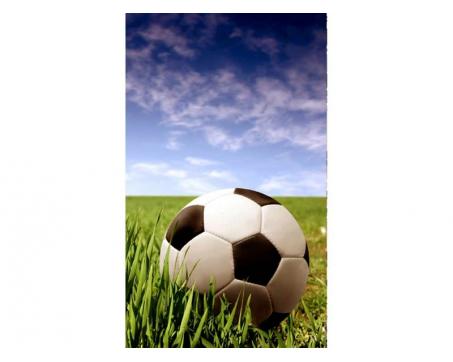 Vlies Fototapete - Fußball 150 x 250 cm 