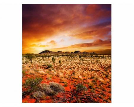 Vlies Fototapete - australische Landschaft 225 x 250 cm 