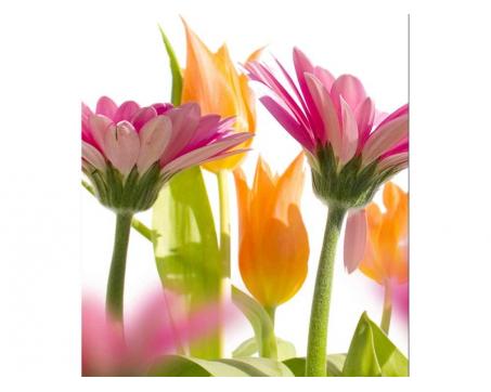 Vlies Fototapete - Frühlingsblumen 225 x 250 cm 