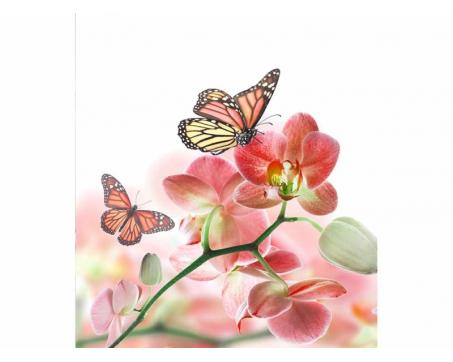 Vlies Fototapete - Schmetterling und Orchideen 225 x 250 cm 