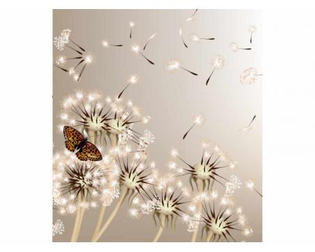Vlies Fototapete - Löwenzahn und Schmetterling 225 x 250 cm 