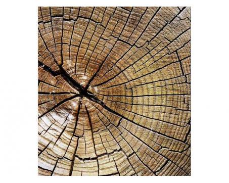 Vlies Fototapete - Holz 225 x 250 cm 