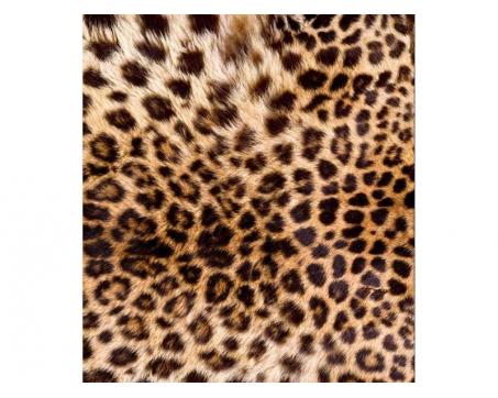 Vlies Fototapete - Leopardenhaut 225 x 250 cm 