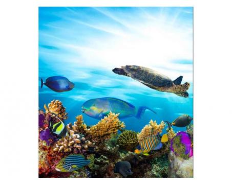 Vlies Fototapete - Fische im Ozean 225 x 250 cm 