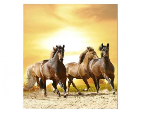Vlies Fototapete - Pferde im Sonnenuntergang 225 x 250 cm 