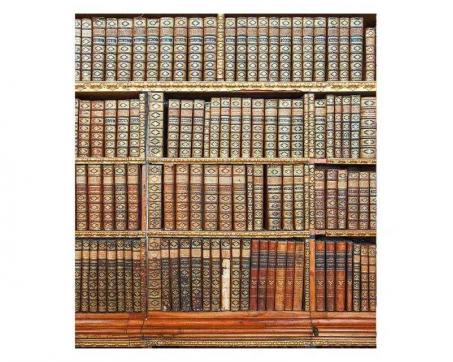 Vlies Fototapete - Bibliothek 225 x 250 cm 