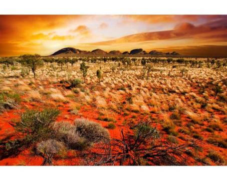 Vlies Fototapete - australische Landschaft 375 x 250 cm 