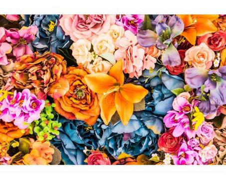 Vlies Fototapete - getrocknete Blumen 375 x 250 cm 