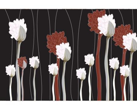 Vlies Fototapete - Pflanzen im schwarzen Hintergrund 375 x 250 cm 