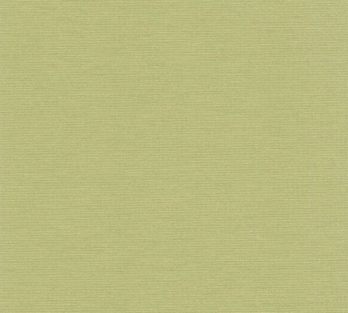 Vliestapete Antigua 390974 - einfarbige Tapete Muster - Grün
