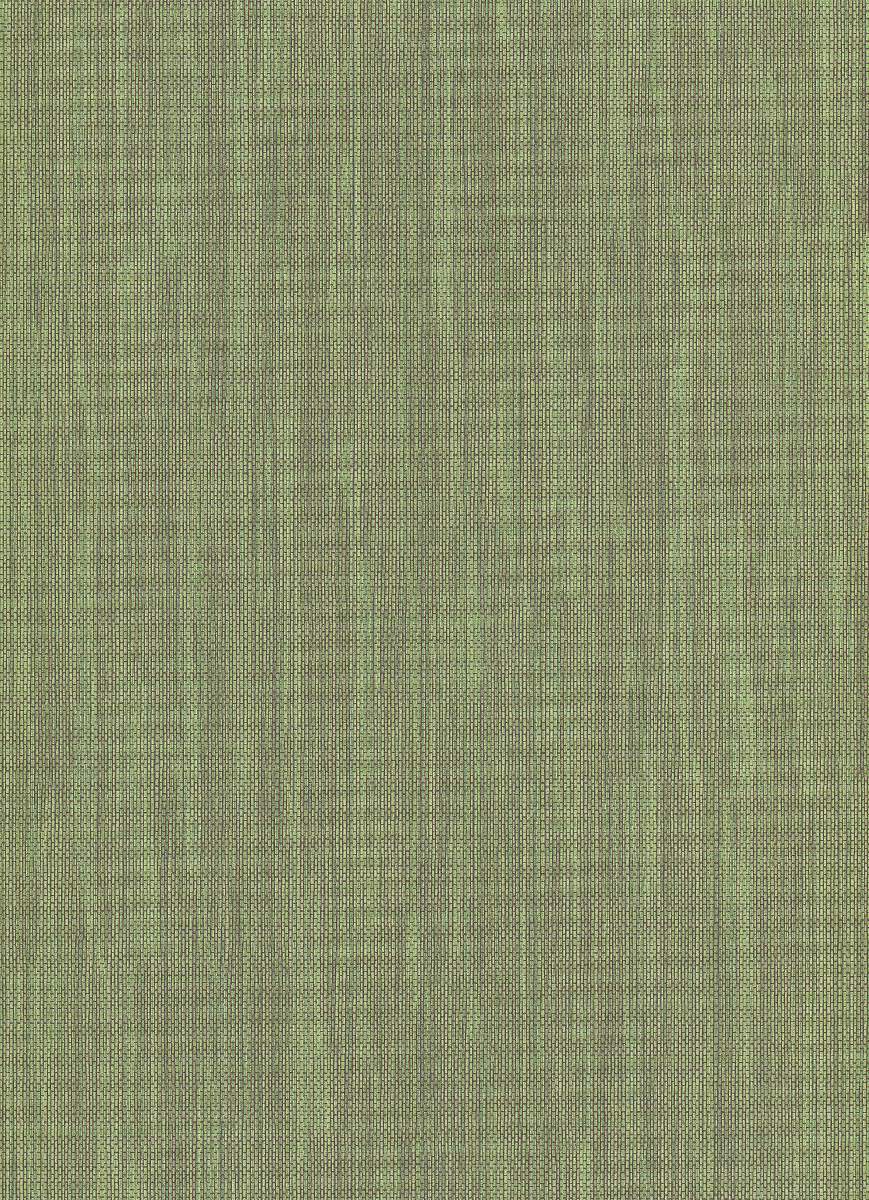 Vliestapete WPE-901088 - Strukturen Muster - Grün