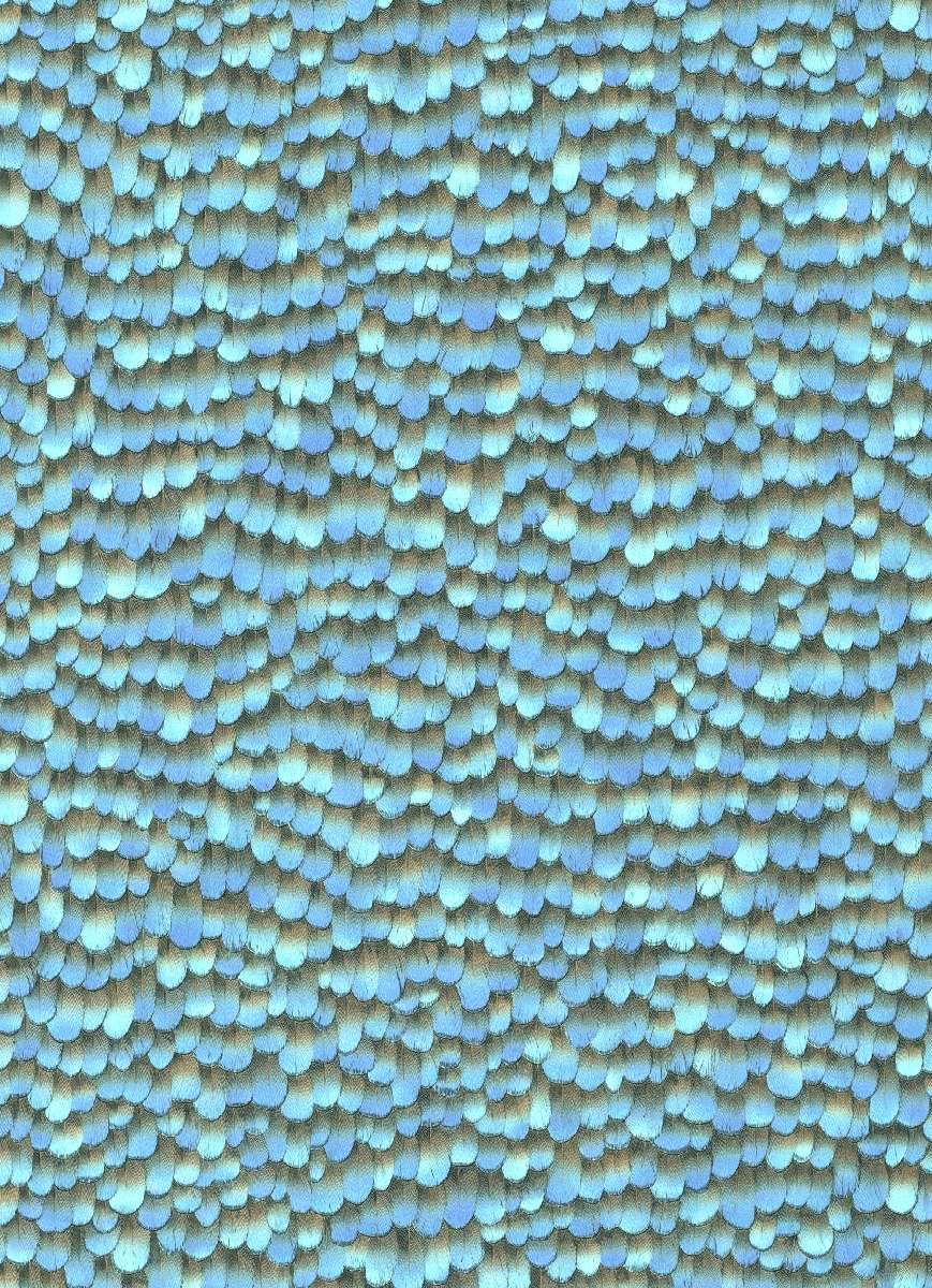 Vliestapete WPE-901293 - Dekorativ Muster - Blau,Schwarz