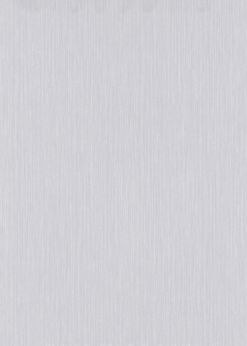 Vliestapete WPE-901377 - Einfarbig,Streifen und Linien - Grau