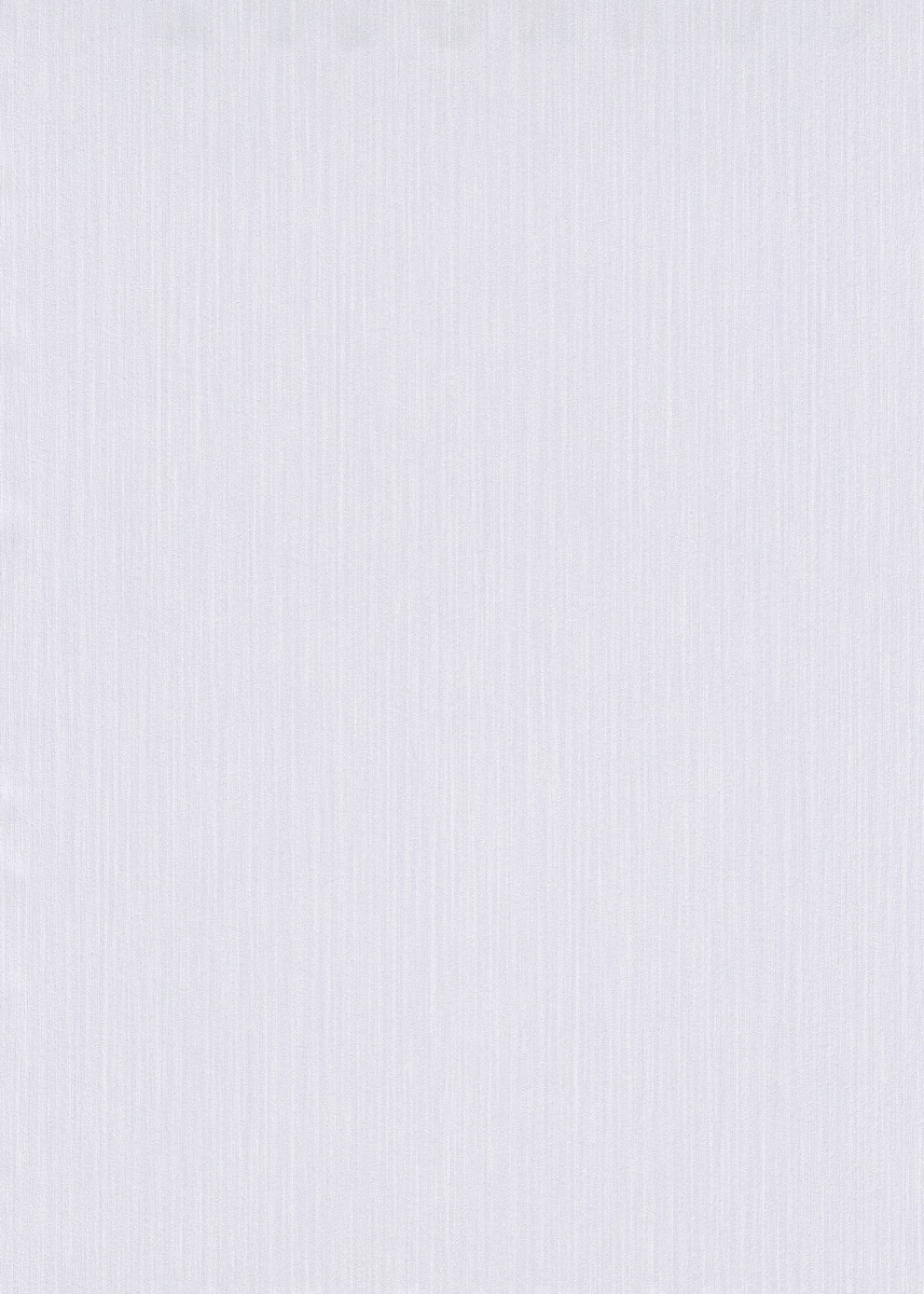 Vliestapete WPE-901387 - Einfarbig,Streifen und Linien - Grau