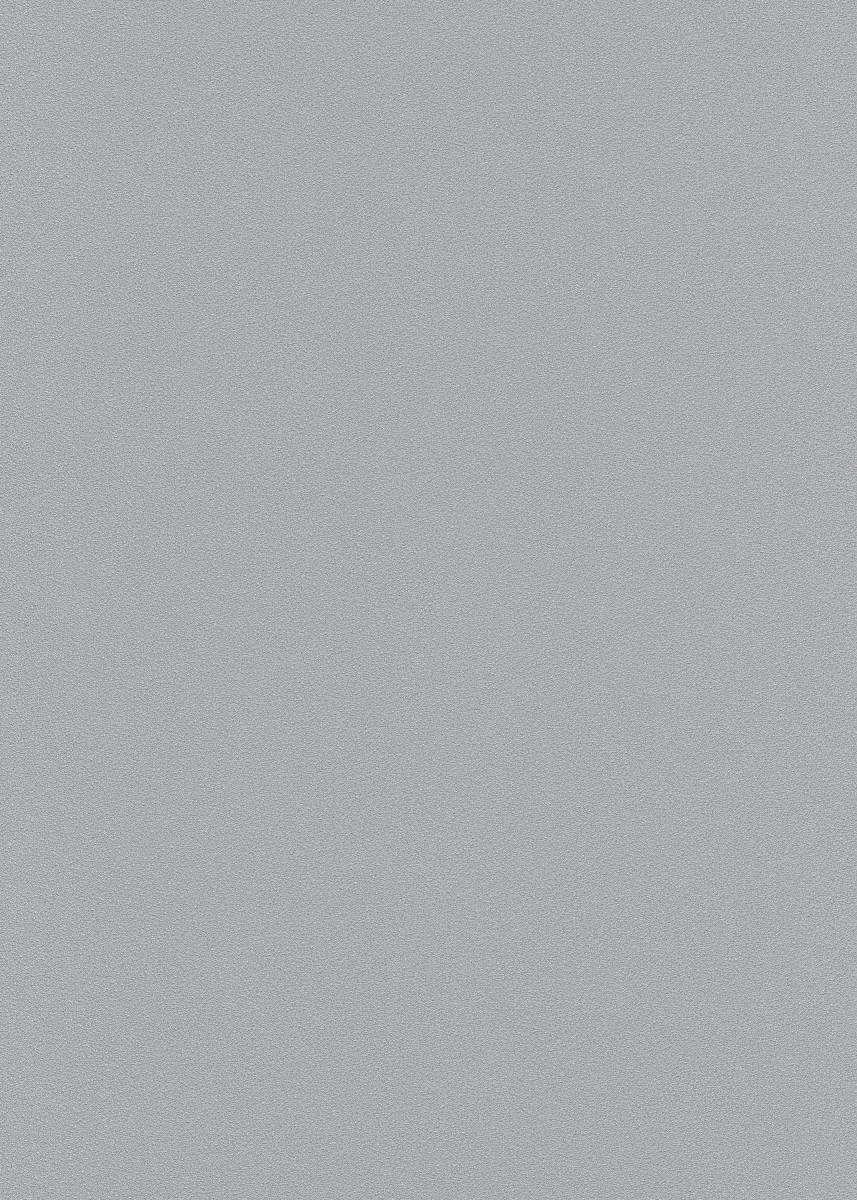 Vliestapete WPE-901792 - Einfarbig - Grau