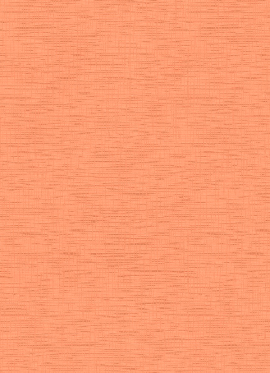 Vliestapete WPE-901825 - Einfarbig - Orange