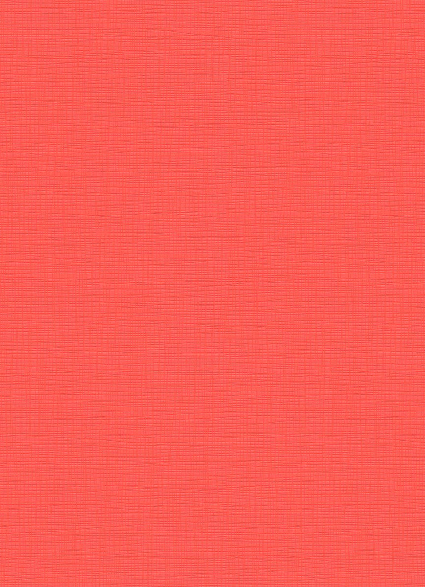 Vliestapete WPE-901827 - Einfarbig - Rot