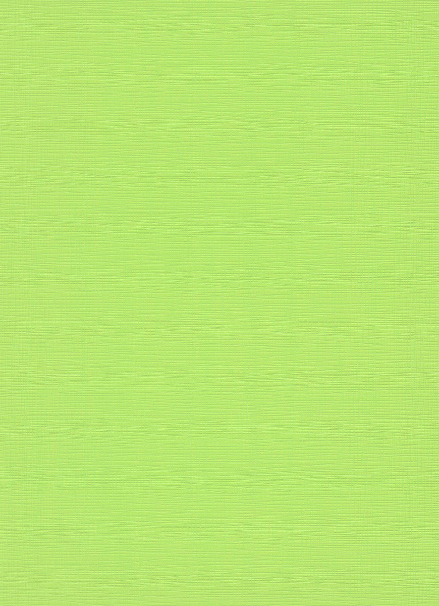 Vliestapete WPE-901828 - Einfarbig - Grün
