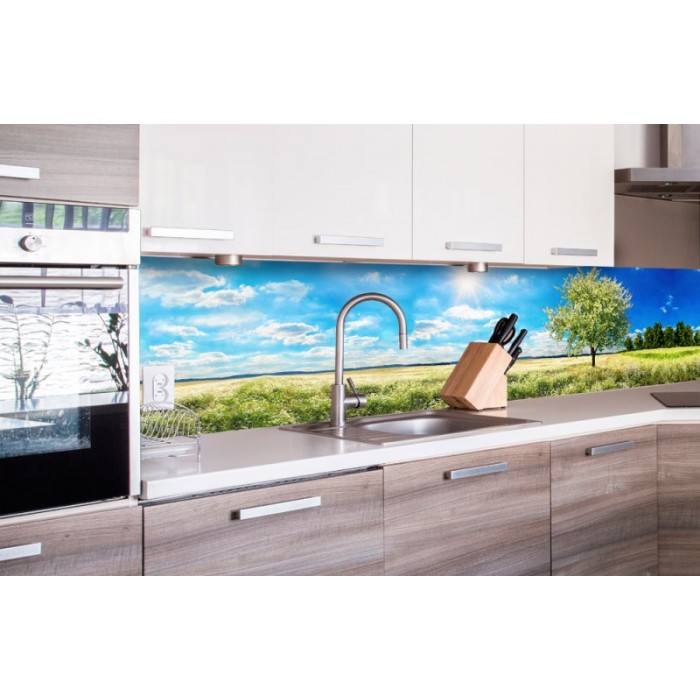 Küchenrückwand aus Glas 100x50cm ESG Spritzschutz Wiese Gras Baum Natur 
